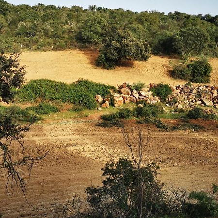 La Fuensanta Villa Hornachuelos Exteriör bild