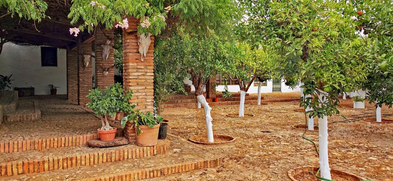 La Fuensanta Villa Hornachuelos Exteriör bild