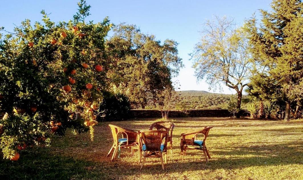La Fuensanta Villa Hornachuelos Exteriör bild