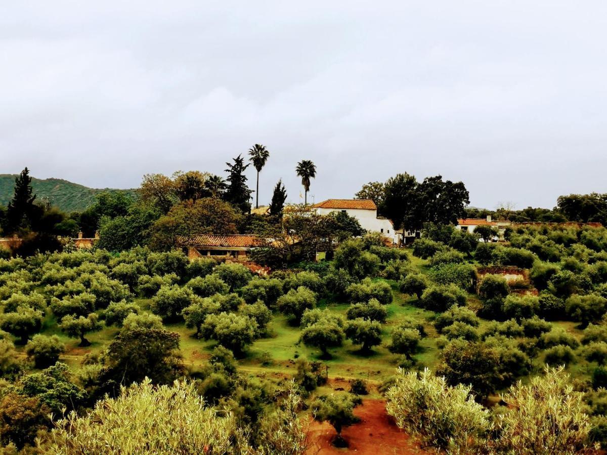 La Fuensanta Villa Hornachuelos Exteriör bild